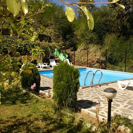 Villa Drecheva Ognjanovo Exteriér fotografie