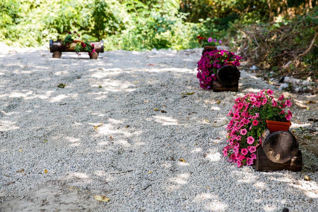 Villa Drecheva Ognjanovo Exteriér fotografie