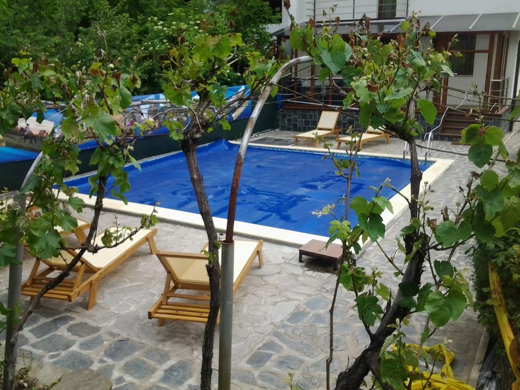 Villa Drecheva Ognjanovo Exteriér fotografie